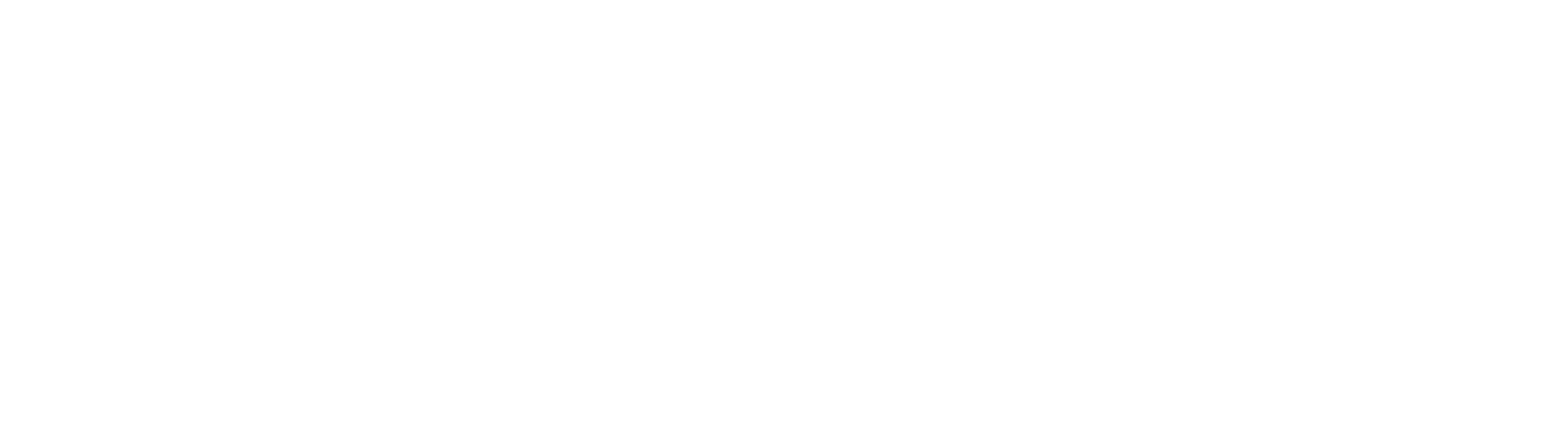 Q-CORE icon